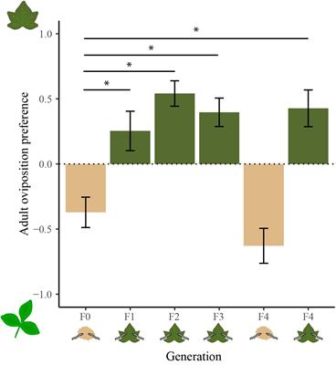 Plant-Induced Transgenerational Plasticity Affecting Performance but Not Preference in a Polyphagous Moth